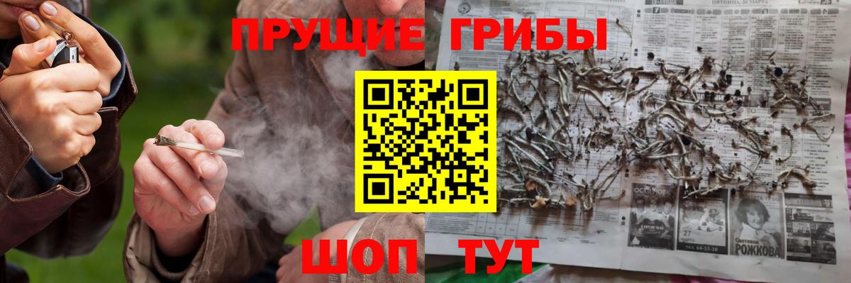 Галлюциногенные грибы MAGIC MUSHROOMS Изобильный